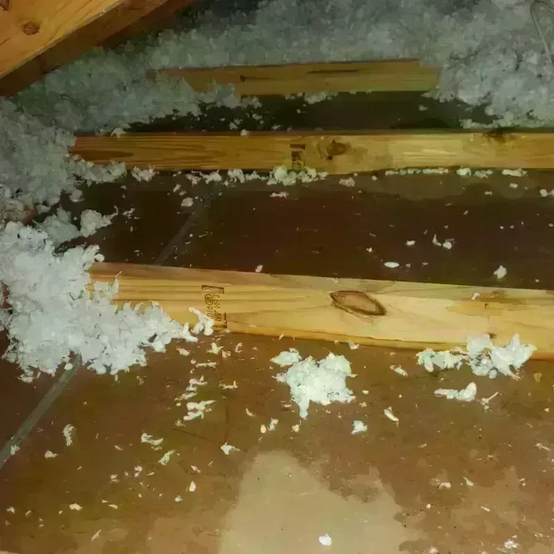 Attic Water Damage in Shelbyville, IN